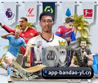 半岛电竞 APP
